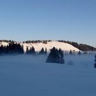 Winterlandschaft