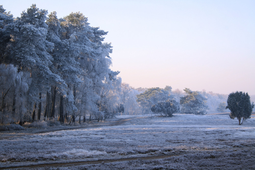 winterlandschaft