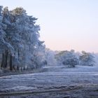 winterlandschaft