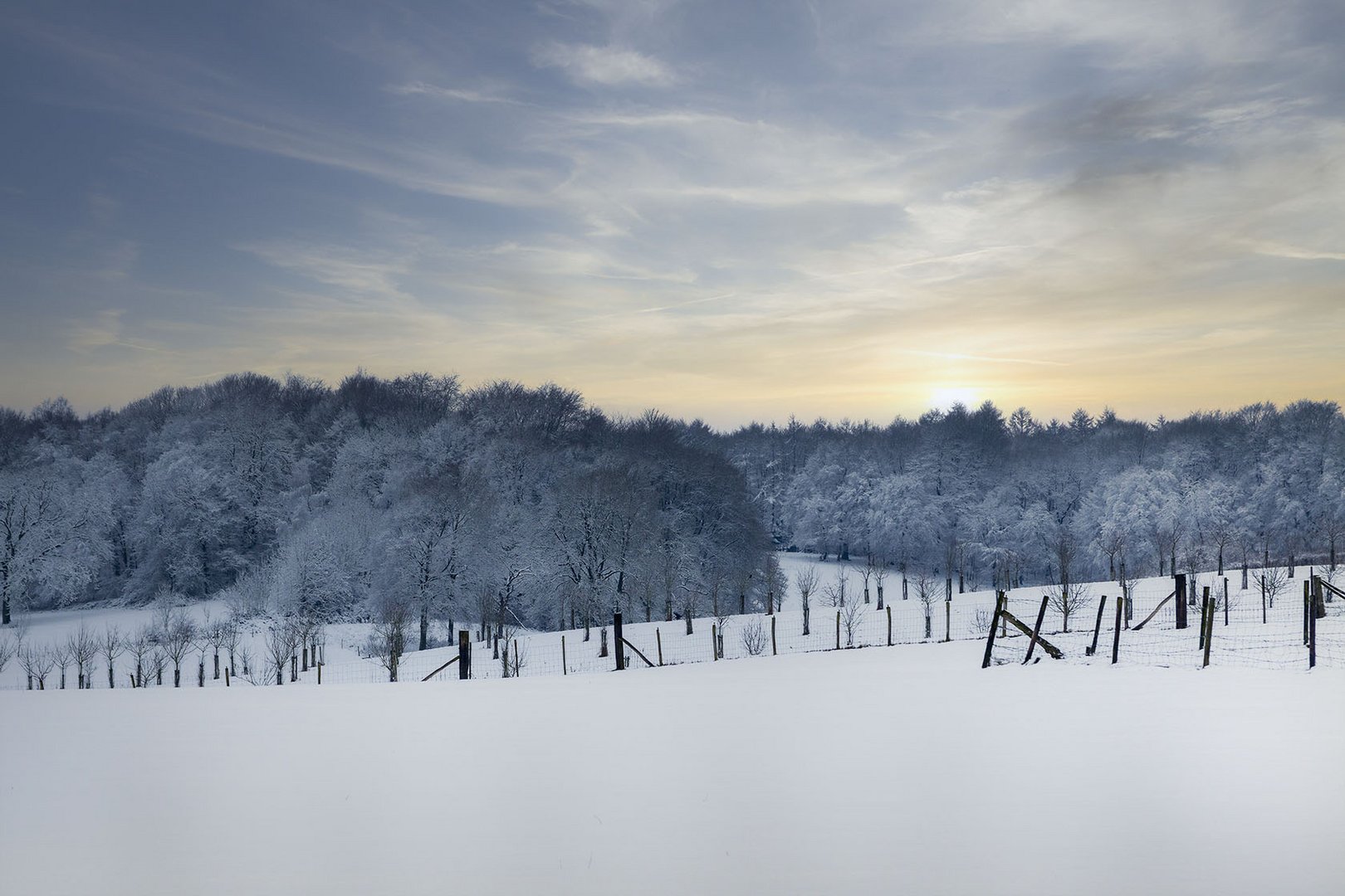 Winterlandschaft