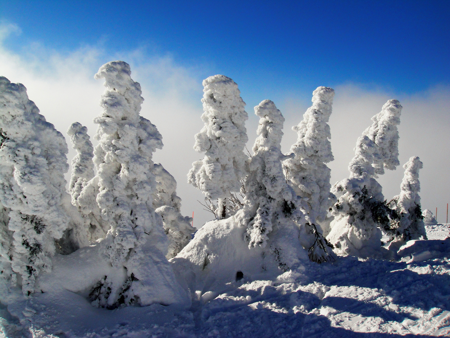 Winterlandschaft