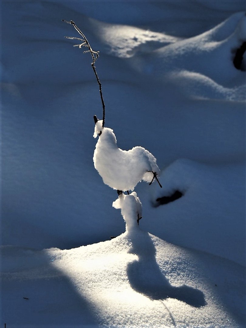 Winterlandschaft