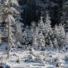 Winterlandschaft