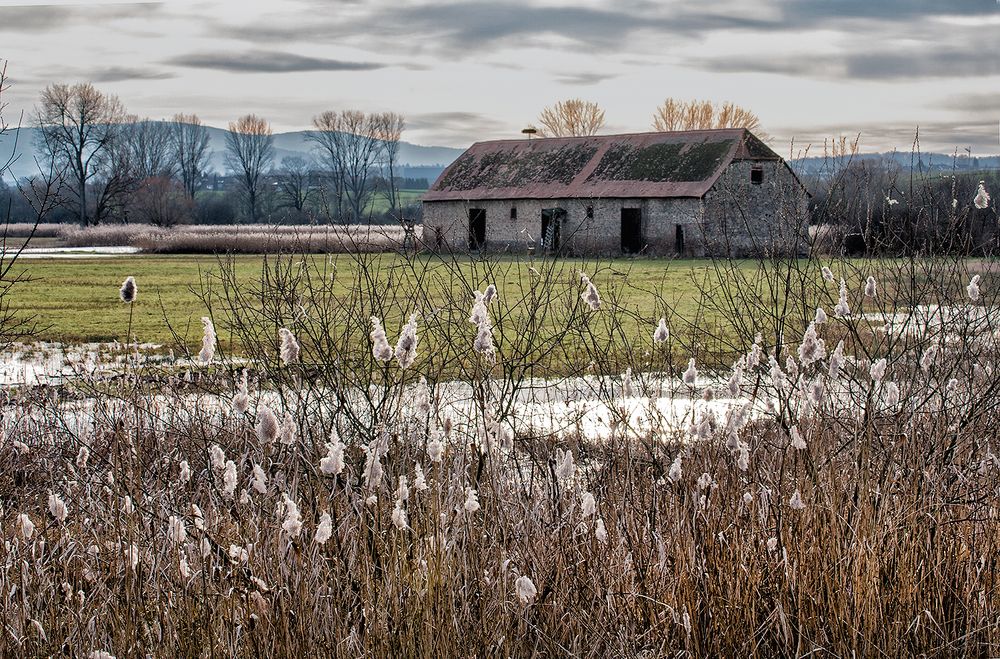 Winterlandschaft