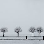 Winterlandschaft