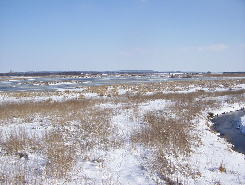 Winterlandschaft