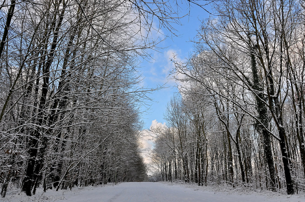 Winterlandschaft