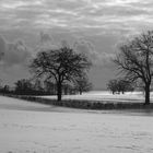 Winterlandschaft