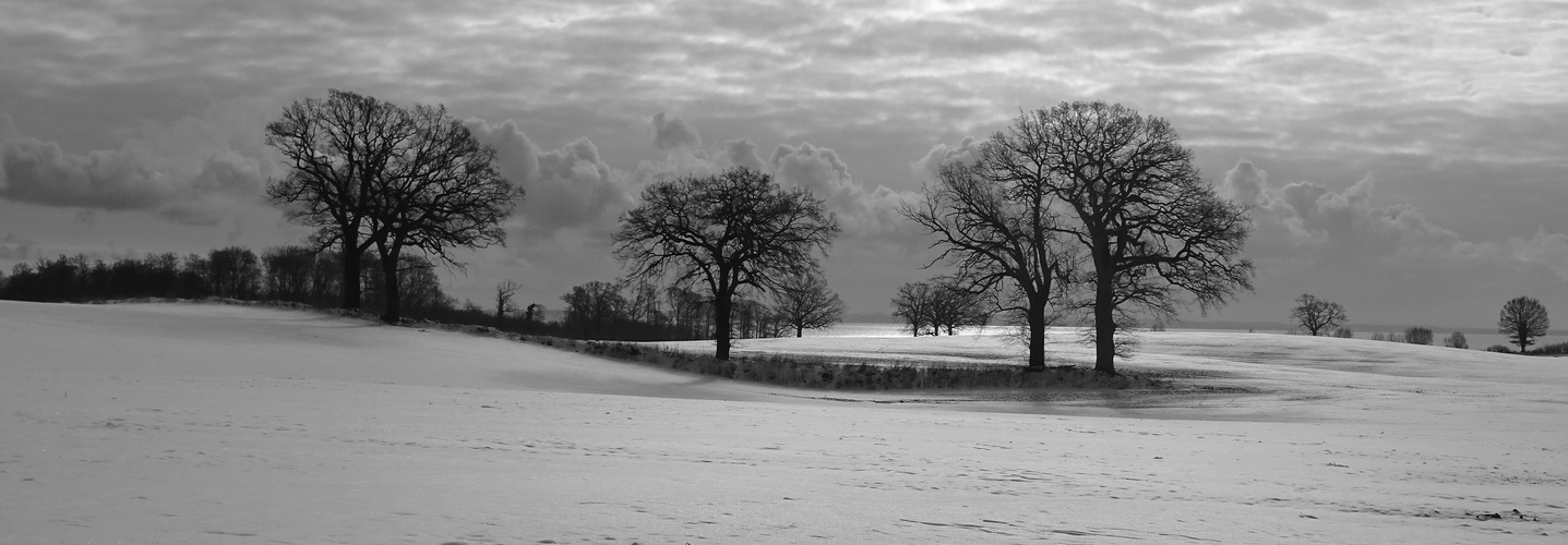 Winterlandschaft