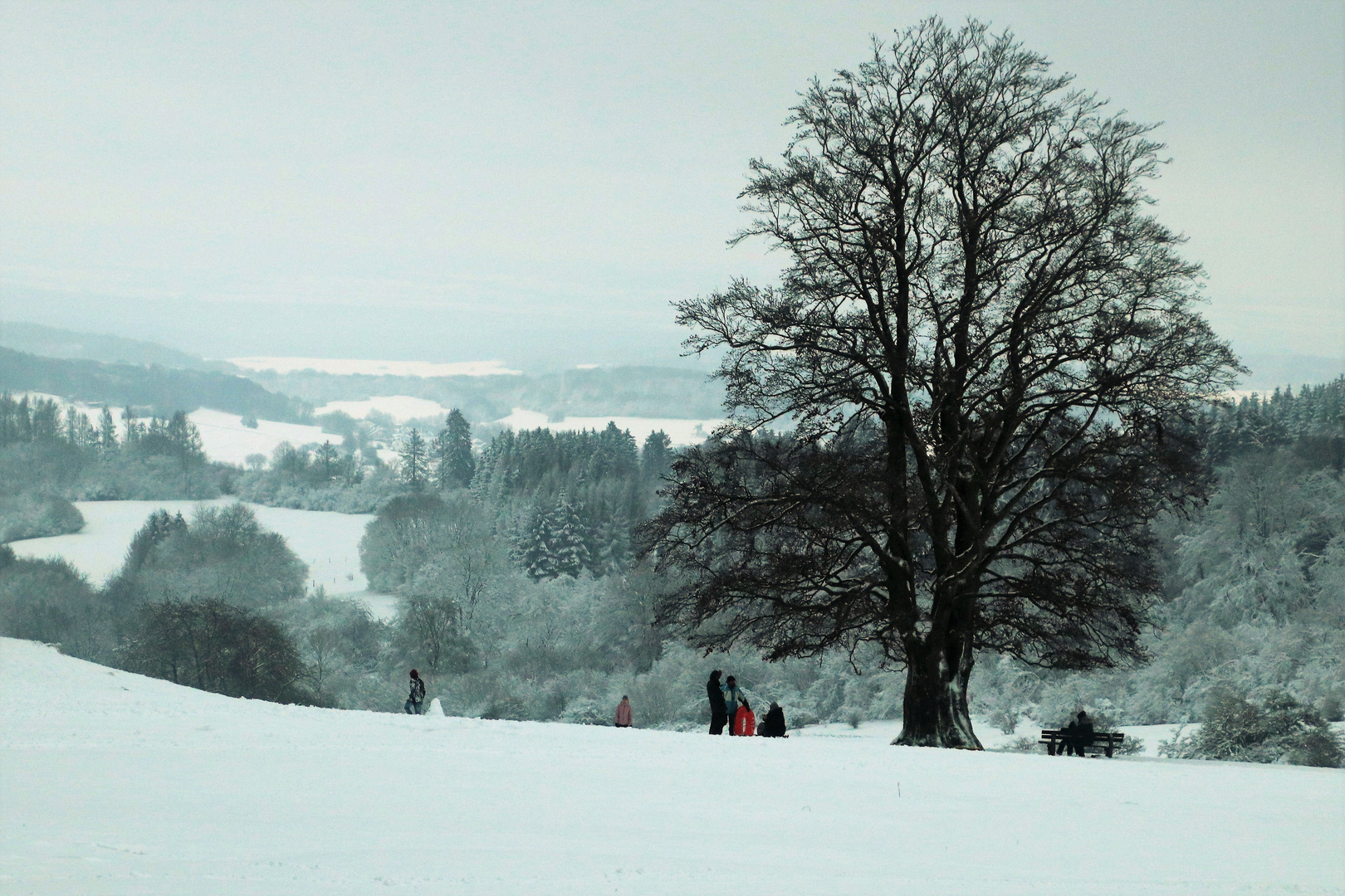 Winterlandschaft