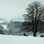 Winterlandschaft