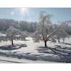 Winterlandschaft