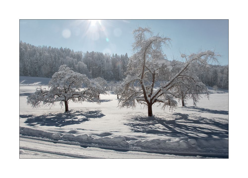 Winterlandschaft