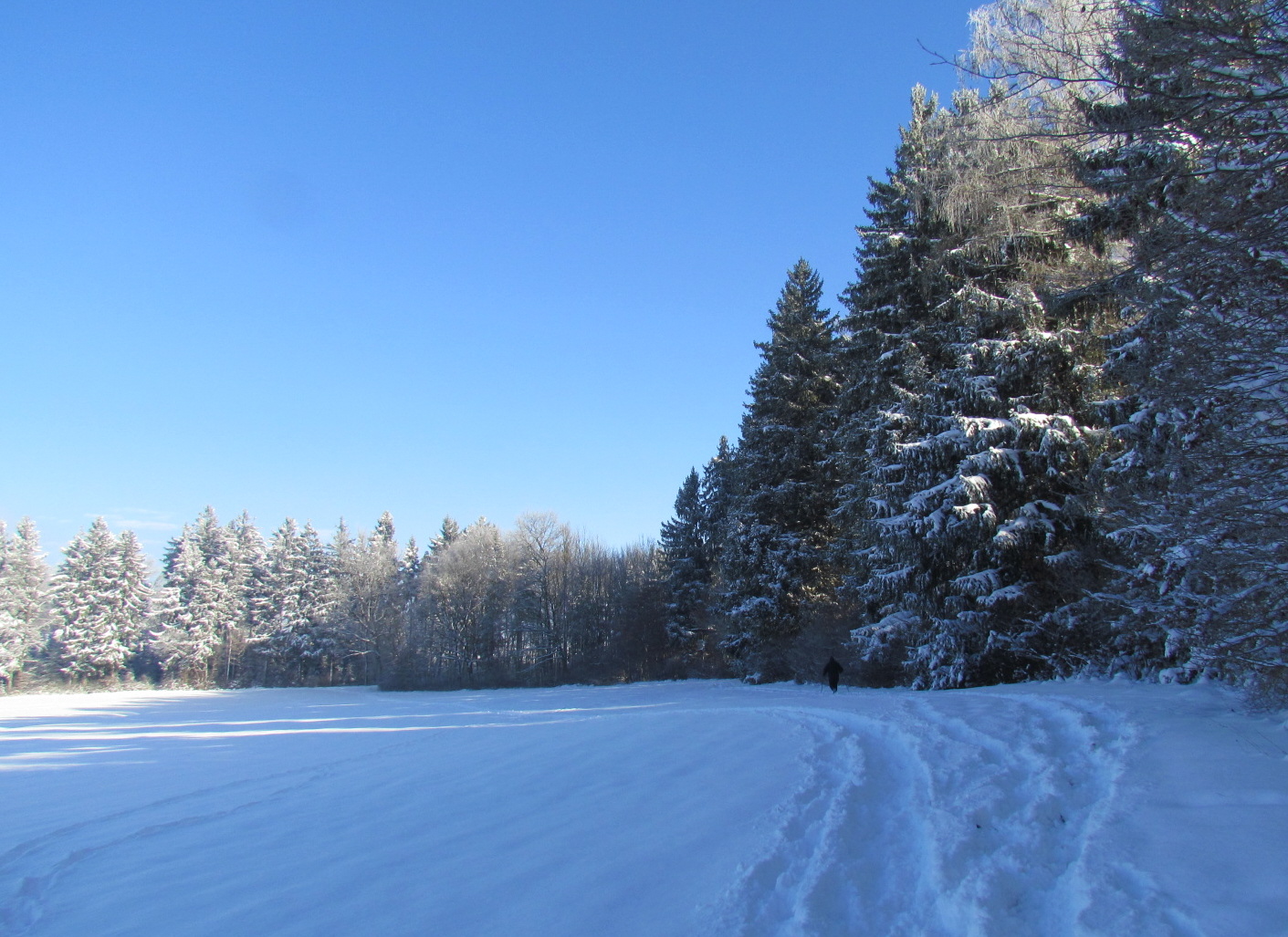 Winterlandschaft