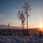 Winterlandschaft