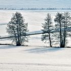 Winterlandschaft