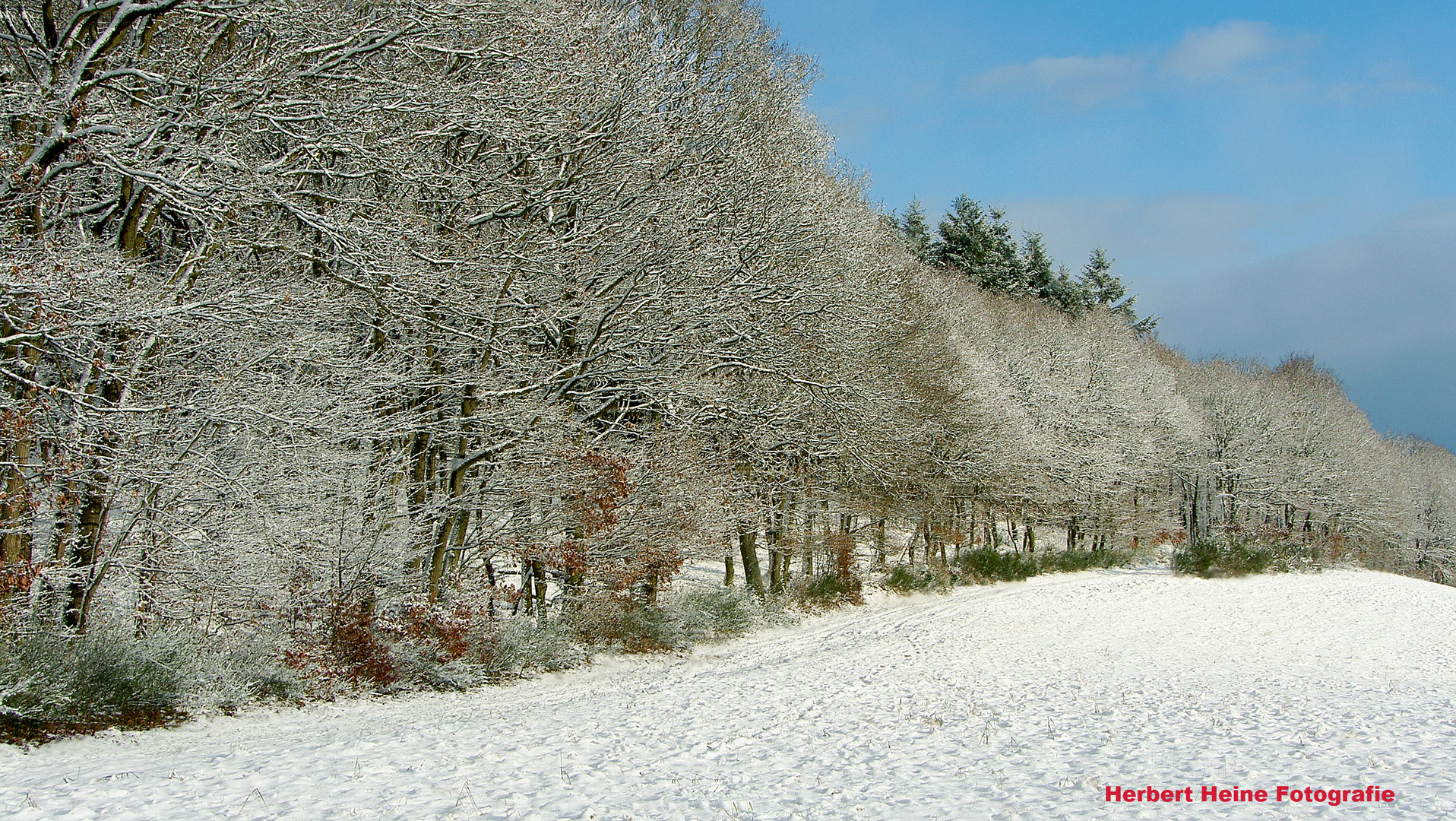 Winterlandschaft: „Adieu“, der letzte Schnee, in der Eifel.....