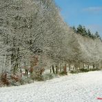 Winterlandschaft: „Adieu“, der letzte Schnee, in der Eifel.....