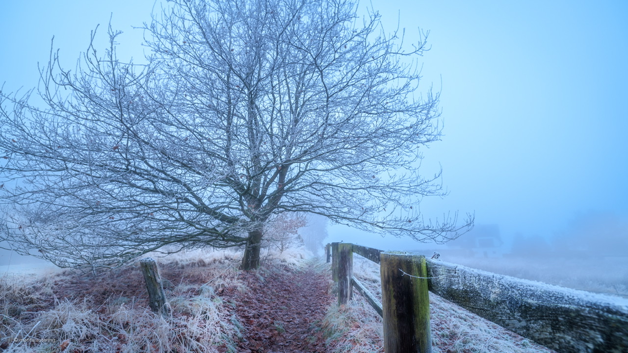 Winterlandschaft 