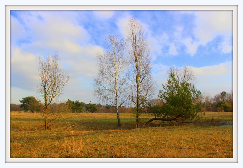 Winterlandschaft