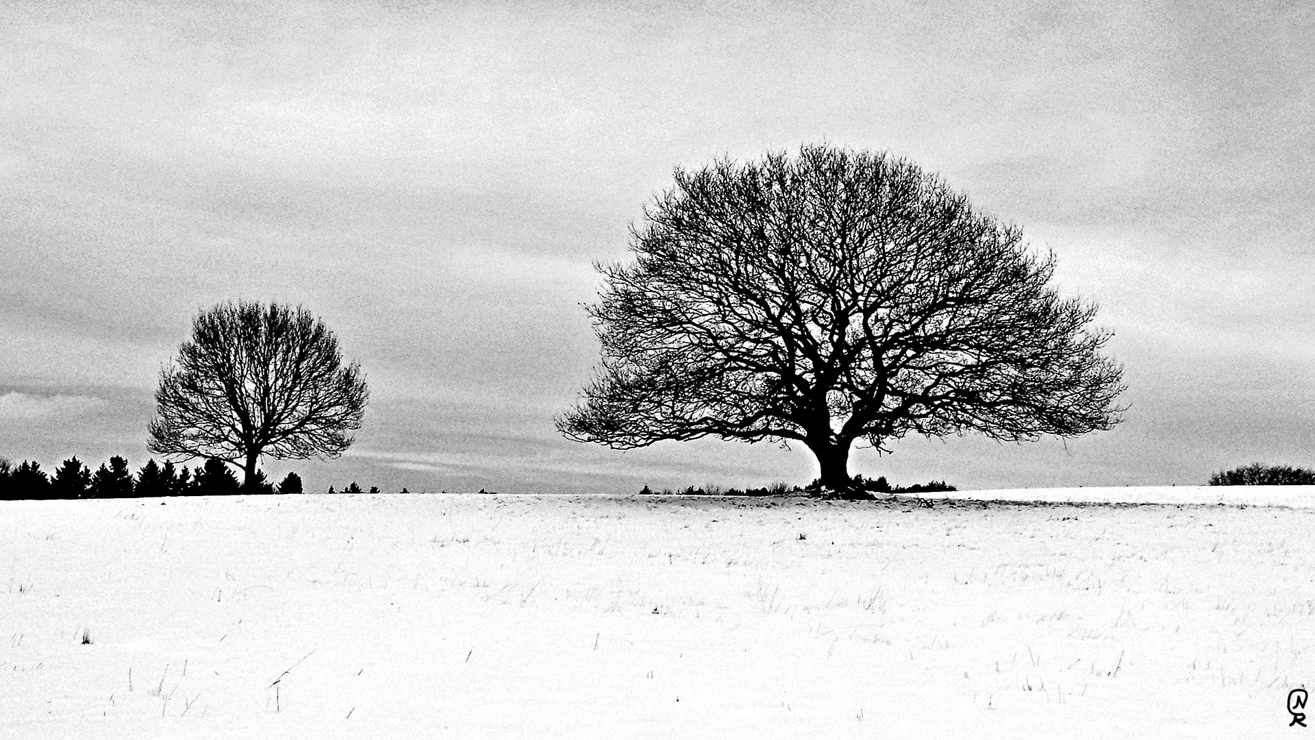 Winterlandschaft