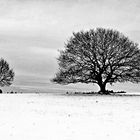 Winterlandschaft