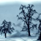 Winterlandschaft