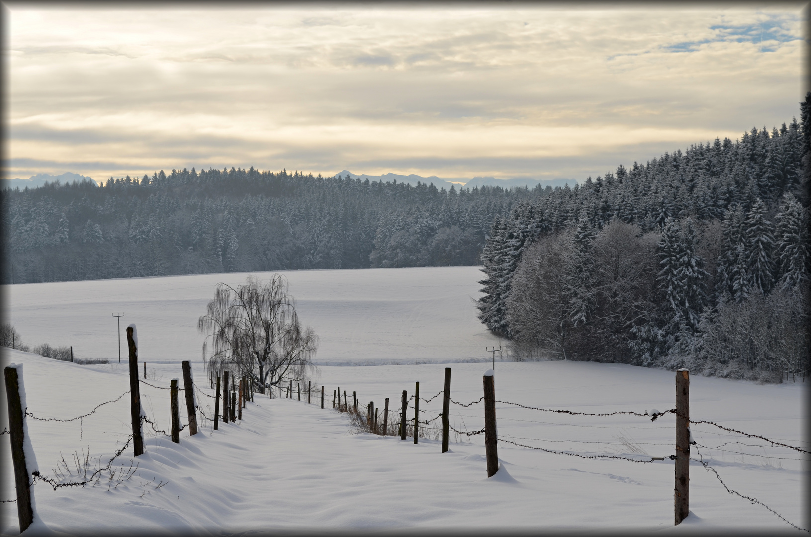 Winterlandschaft