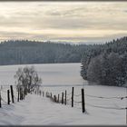 Winterlandschaft