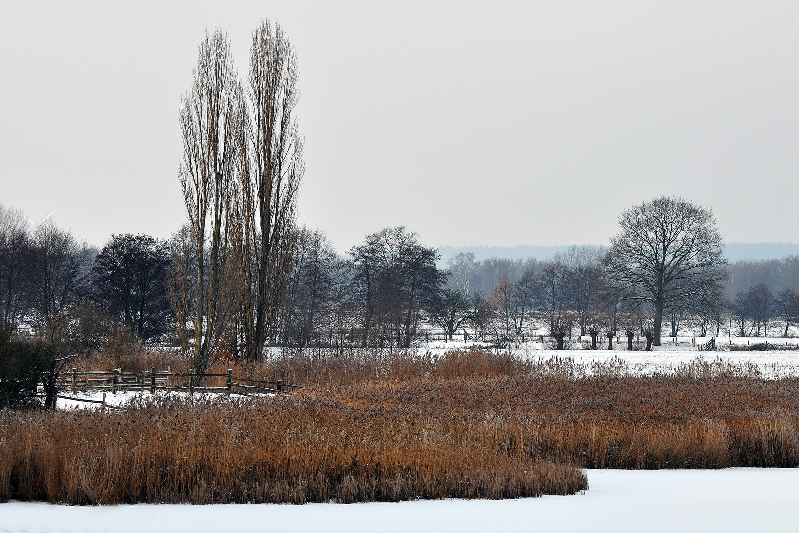 Winterlandschaft (Altengamme bei Hamburg)