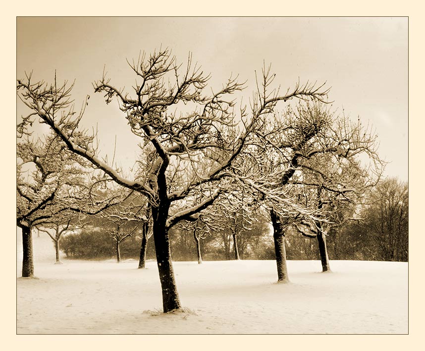 Winterlandschaft am 12. März