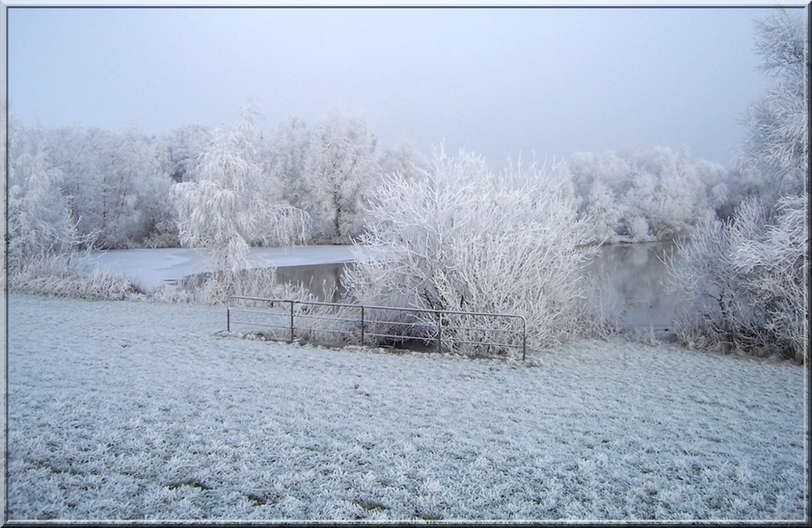 Winterlandschaft am 14.1.2010