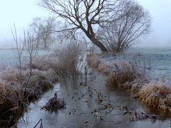 Winterlandschaft am 15.01.2012 .