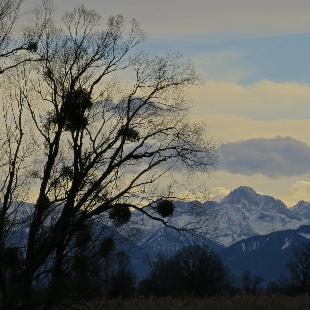 Winterlandschaft am Ammersee