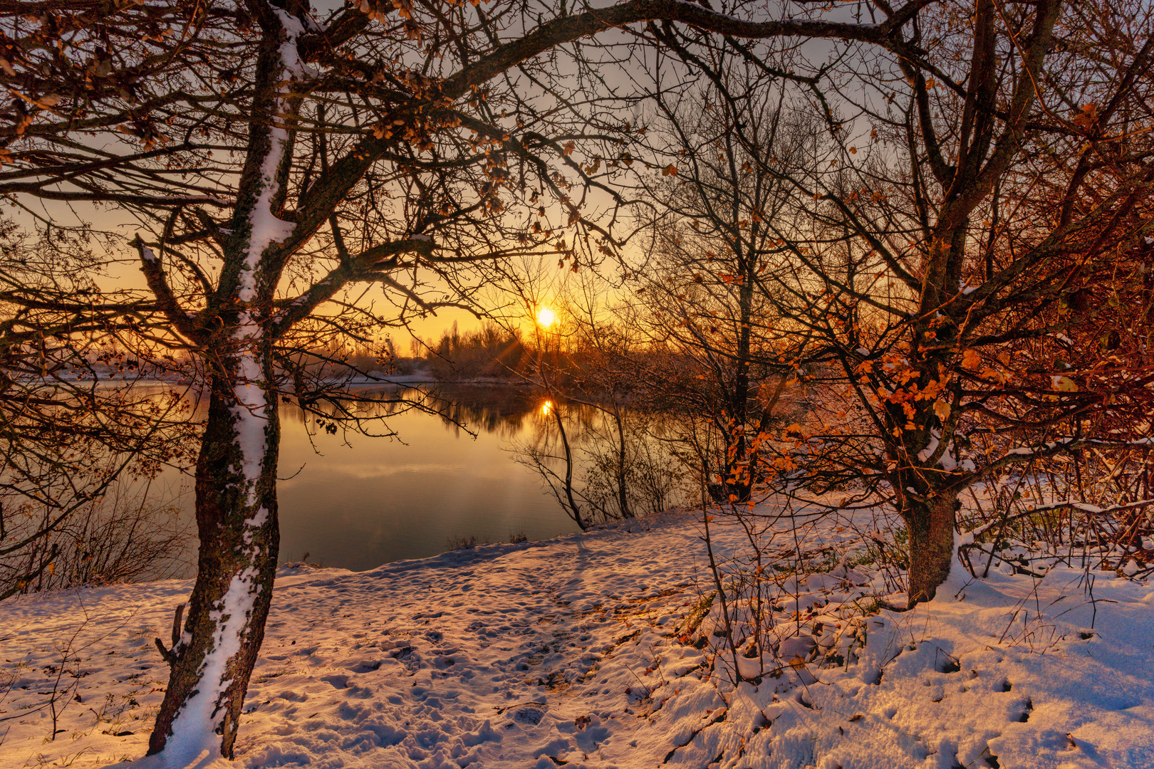 Winterlandschaft am Apostelsee Ettenheim