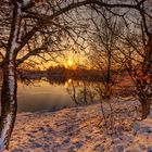 Winterlandschaft am Apostelsee Ettenheim