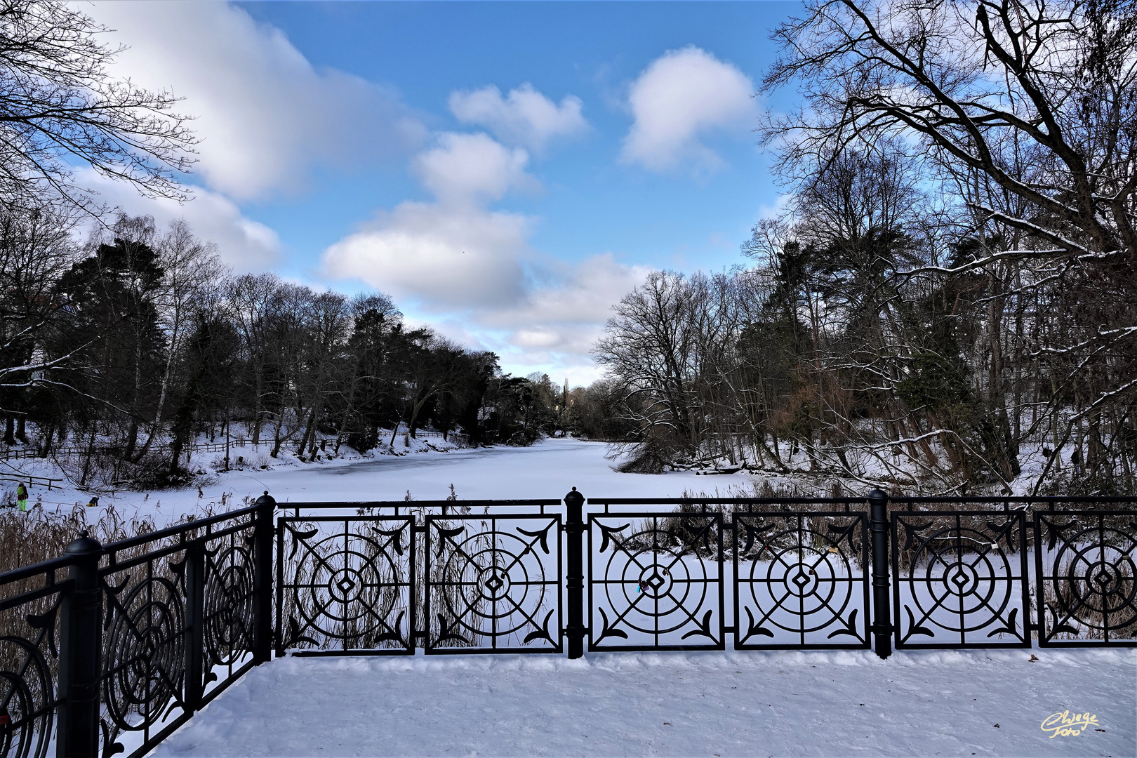 Winterlandschaft am Berliner Herthasee