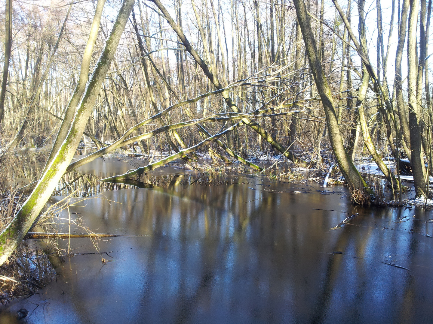 ~Winterlandschaft am Biotop~