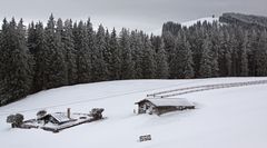 Winterlandschaft am Blomberg