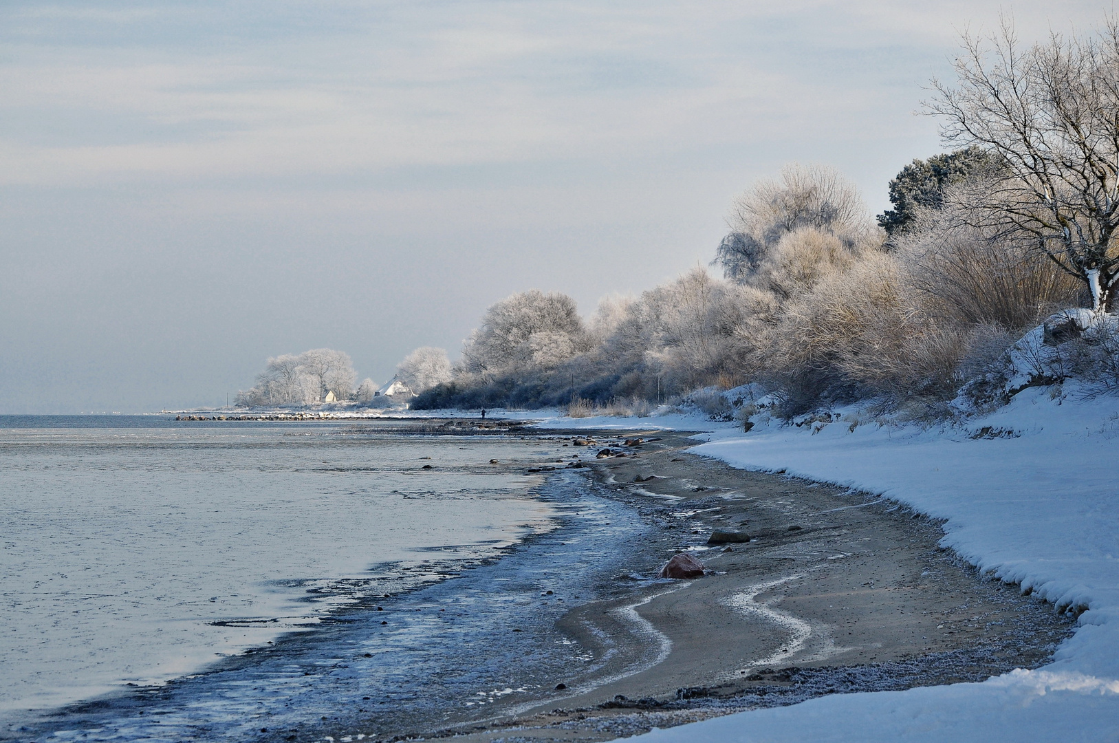 Winterlandschaft am Bodden (06.02.2015)