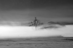 Winterlandschaft am Fluss