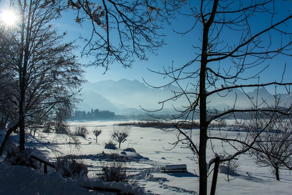 Winterlandschaft am Foggensee