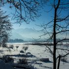 Winterlandschaft am Foggensee