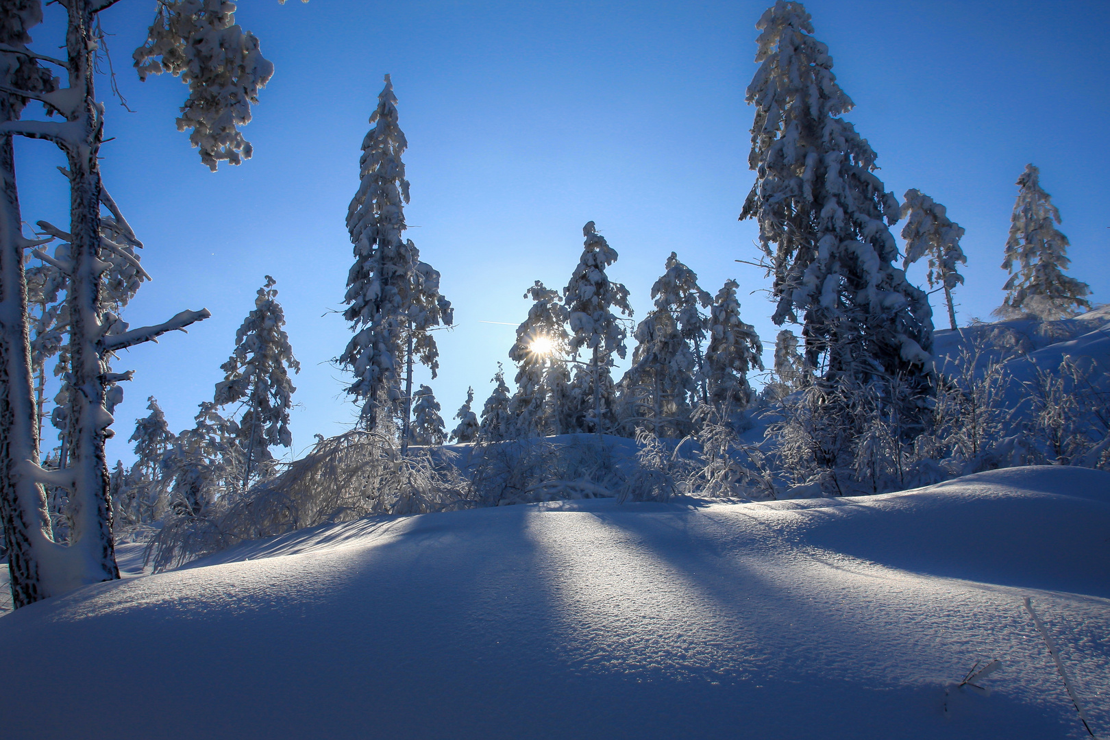 Winterlandschaft am Großen Arber