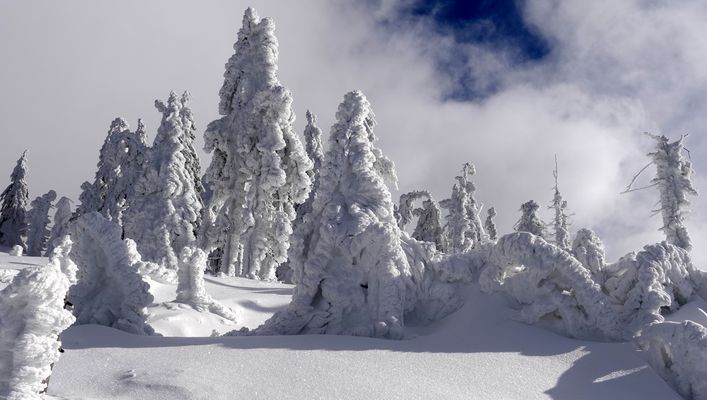 Winterlandschaft am Großen Rachel