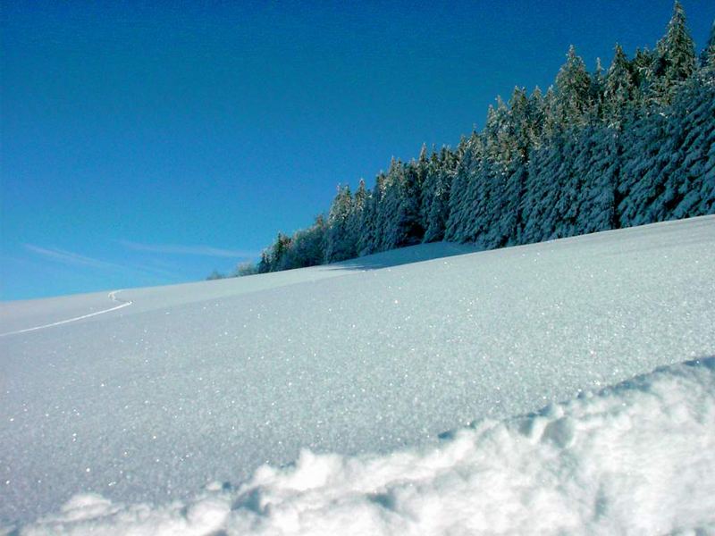 Winterlandschaft am Haunsberg