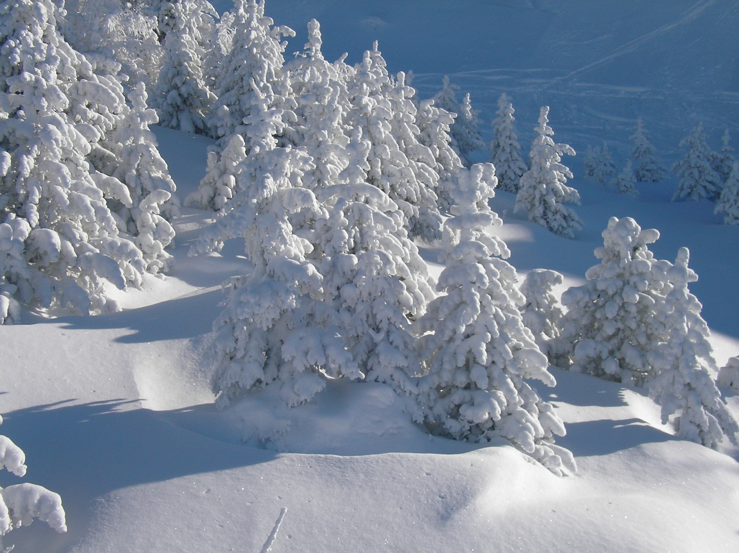 Winterlandschaft am Hausberg