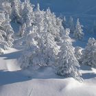 Winterlandschaft am Hausberg