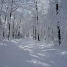 Winterlandschaft am Hoherodskopf