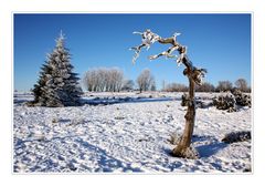 Winterlandschaft am Kahlen Asten